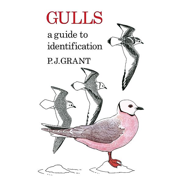 Gulls: A Guide to Identification. 2nd Edition, P. J Grant