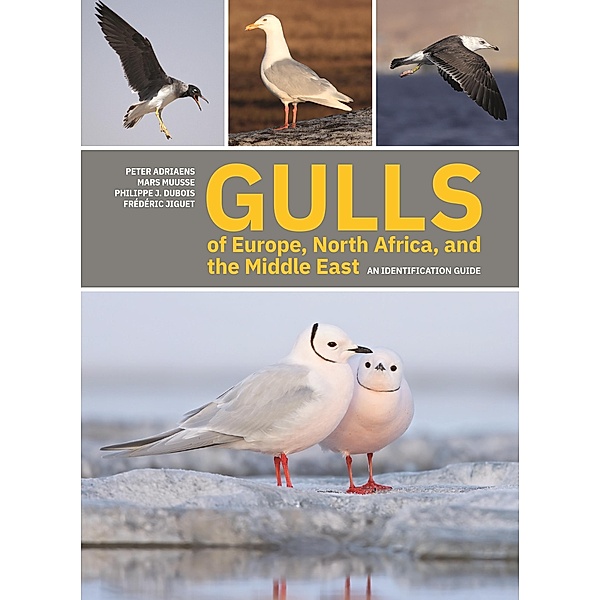 Gulls of Europe, North Africa, and the Middle East, Peter Adriaens, Mars Muusse, Philippe J. Dubois, Frédéric Jiguet