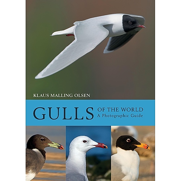 Gulls of the World, Klaus Malling Olsen