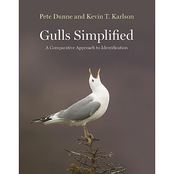 Gulls Simplified, Pete Dunne, Kevin T. Karlson