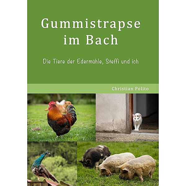 Gummistrapse im Bach, Christian Polito