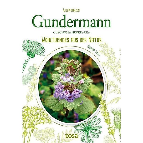 Gundermann - Glechoma Hederacea, Martina Tolnai