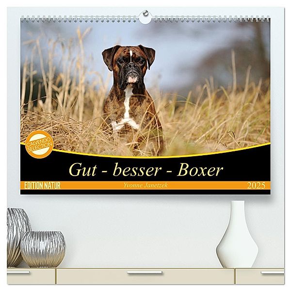 Gut - besser - Boxer (hochwertiger Premium Wandkalender 2025 DIN A2 quer), Kunstdruck in Hochglanz, Calvendo, Yvonne Janetzek