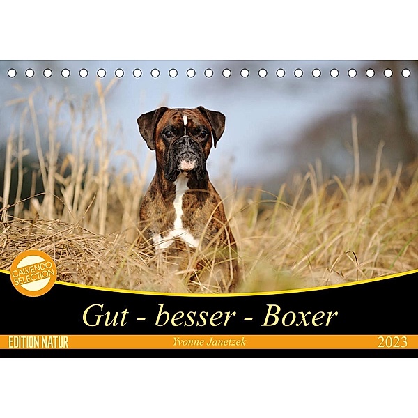 Gut - besser - Boxer (Tischkalender 2023 DIN A5 quer), Yvonne Janetzek
