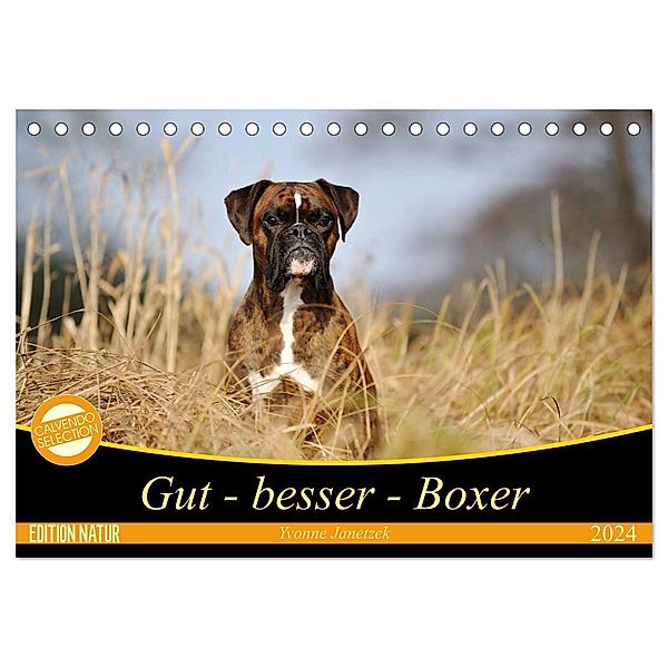 Gut - besser - Boxer (Tischkalender 2024 DIN A5 quer), CALVENDO Monatskalender, Yvonne Janetzek