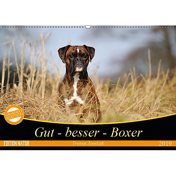 Gut - besser - Boxer (Wandkalender 2019 DIN A2 quer), Yvonne Janetzek