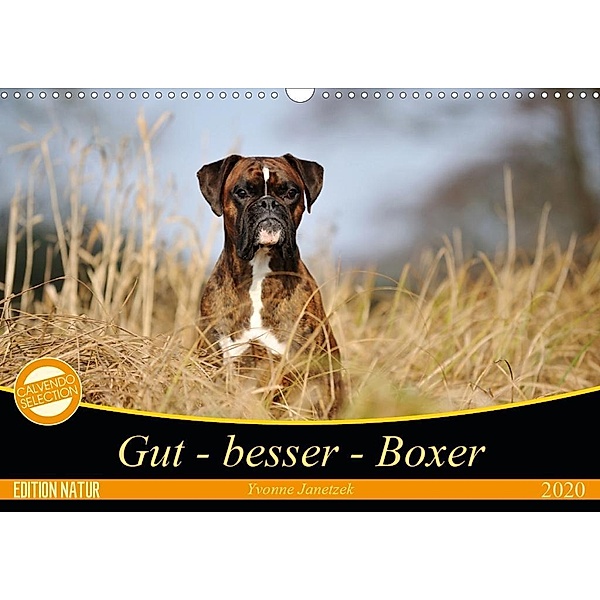 Gut - besser - Boxer (Wandkalender 2020 DIN A3 quer), Yvonne Janetzek