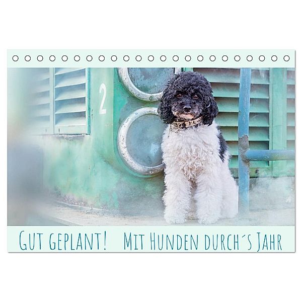 Gut geplant! Mit Hunden durch´s Jahr (Tischkalender 2024 DIN A5 quer), CALVENDO Monatskalender, boegau-fotos