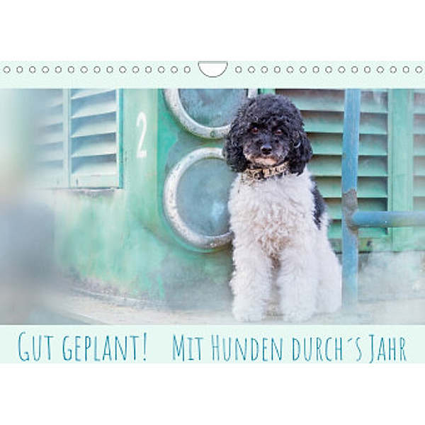 Gut geplant!  Mit Hunden durch´s Jahr (Wandkalender 2022 DIN A4 quer), boegau-fotos