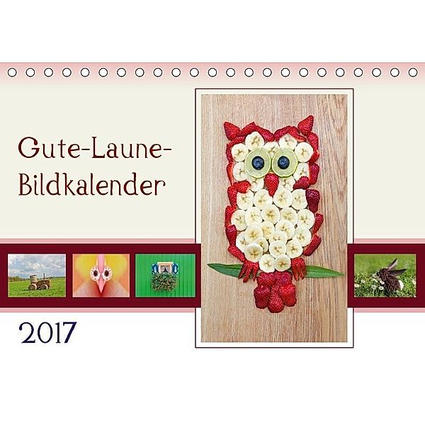 Gute-Laune-Bildkalender 2017 (Tischkalender 2017 DIN A5 quer), SusaZoom, k.A. SusaZoom