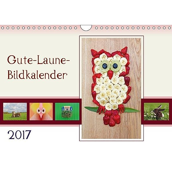 Gute-Laune-Bildkalender 2017 (Wandkalender 2017 DIN A4 quer), SusaZoom, k.A. SusaZoom