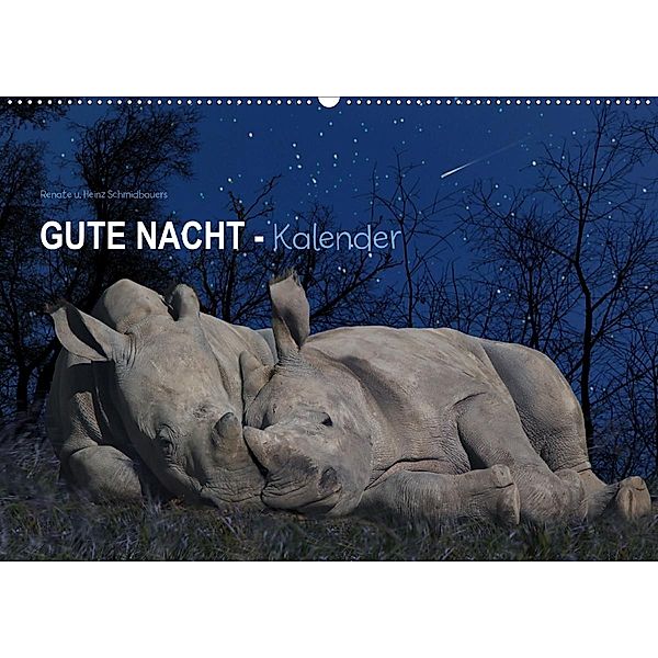 Gute Nacht-Kaleder (Wandkalender 2020 DIN A2 quer), Heinz Schmdibauer