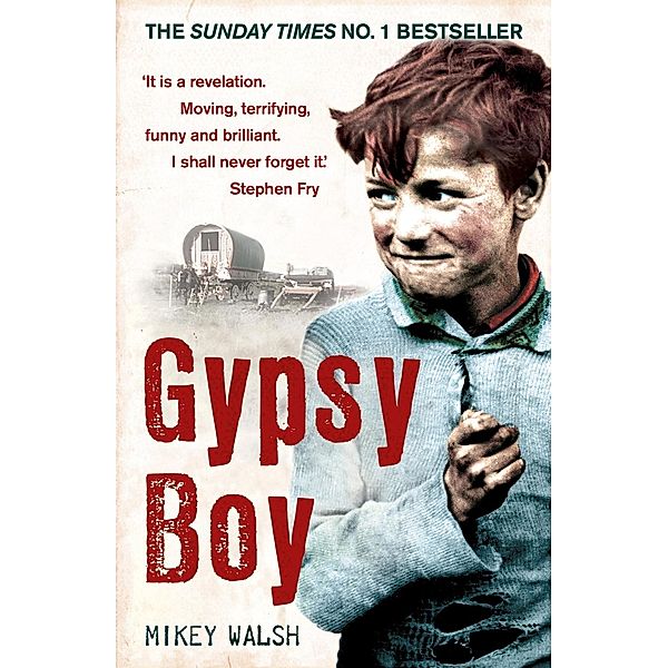 Gypsy Boy, Mikey Walsh