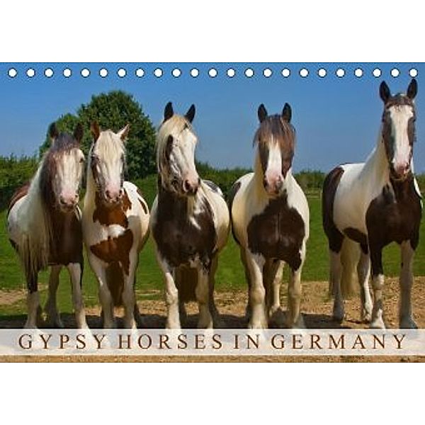 Gypsy Horses (Tischkalender 2020 DIN A5 quer)