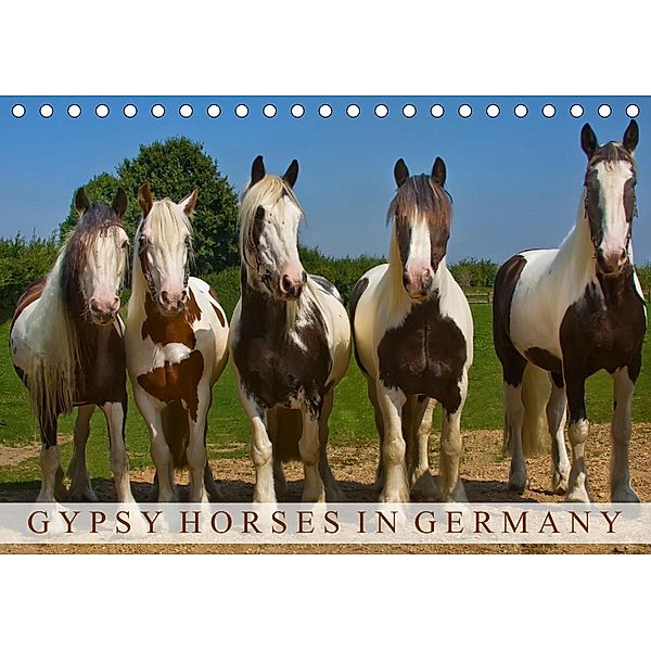 Gypsy Horses (Tischkalender 2021 DIN A5 quer), weh-zet
