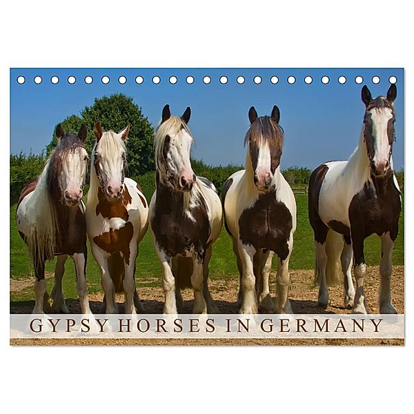 Gypsy Horses (Tischkalender 2024 DIN A5 quer), CALVENDO Monatskalender, weh-zet