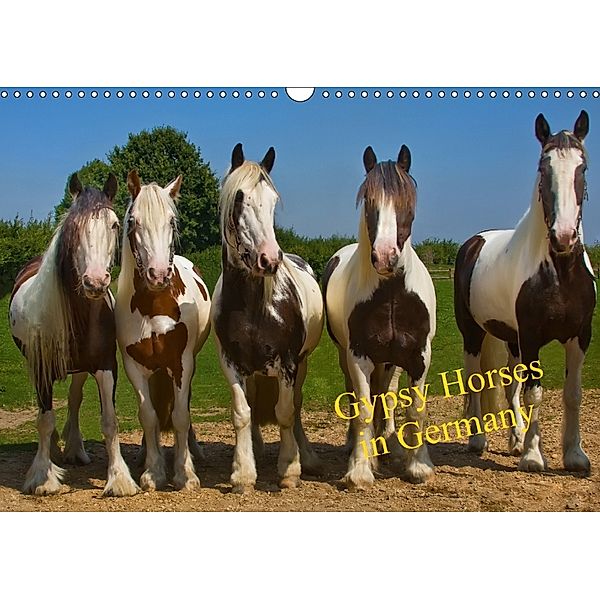 Gypsy Horses (Wandkalender 2018 DIN A3 quer), weh-zet