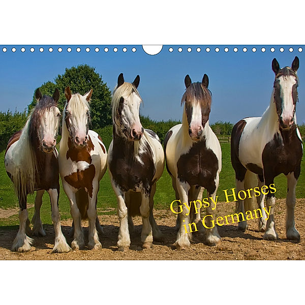 Gypsy Horses (Wandkalender 2020 DIN A4 quer)