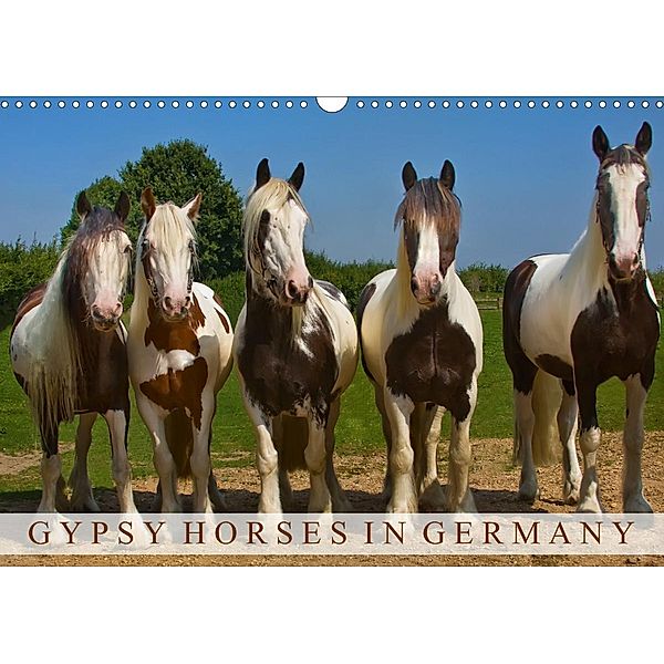 Gypsy Horses (Wandkalender 2021 DIN A3 quer), weh-zet