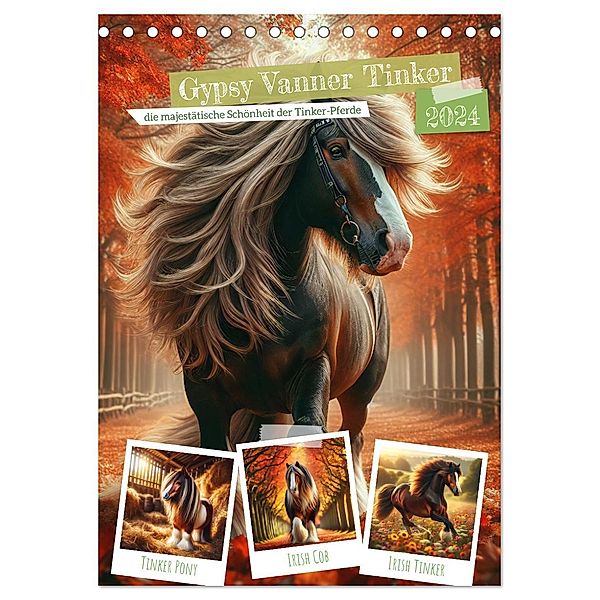 Gypsy Vanner Tinker - die majestätische Schönheit der Tinker-Pferde (Tischkalender 2024 DIN A5 hoch), CALVENDO Monatskalender, Calvendo, Marco Warstat