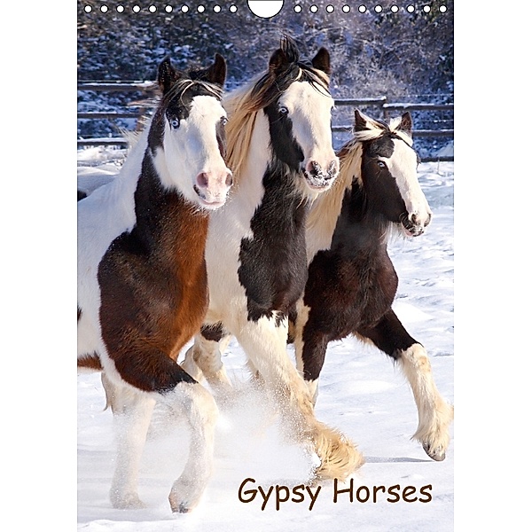 Gypsy's (Wandkalender 2018 DIN A4 hoch), Gabriela Wejat-Zaretzke