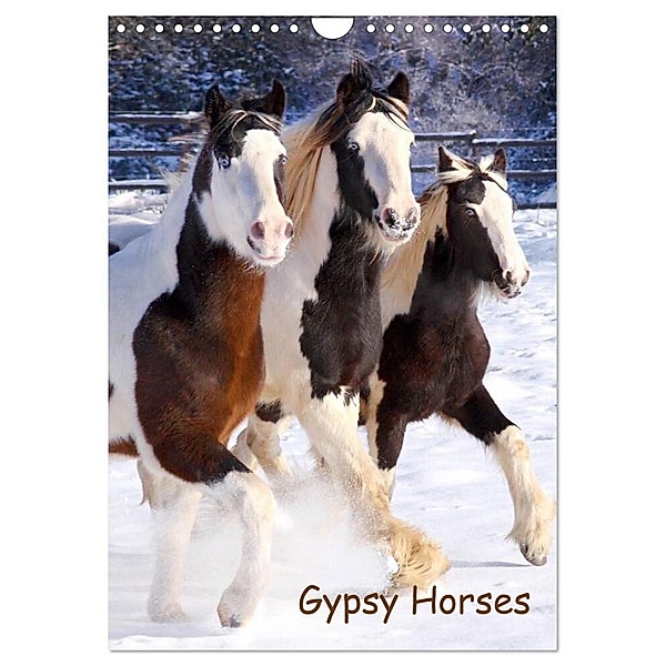Gypsy's (Wandkalender 2024 DIN A4 hoch), CALVENDO Monatskalender, Gabriela Wejat-Zaretzke
