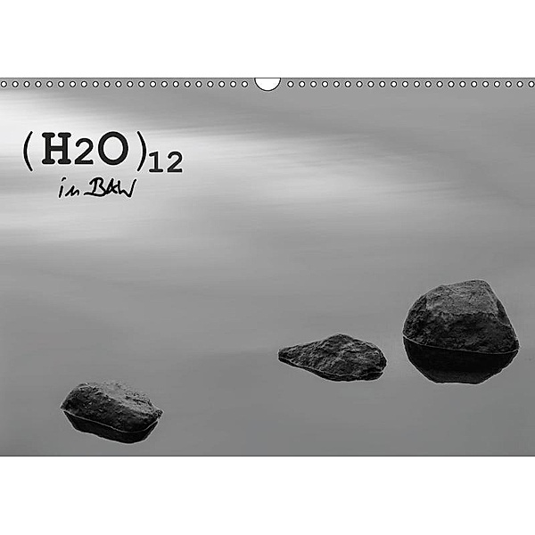 (H2O)12 in B&W (Wall Calendar 2017 DIN A3 Landscape), Jill Robb