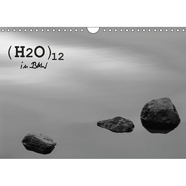 (H2O)12 in B&W (Wall Calendar 2017 DIN A4 Landscape), Jill Robb