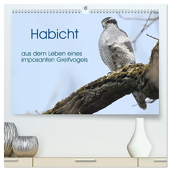 Habicht - aus dem Leben eines imposanten Greifvogels (hochwertiger Premium Wandkalender 2024 DIN A2 quer), Kunstdruck in Hochglanz, Calvendo, Herrmann Knüwer