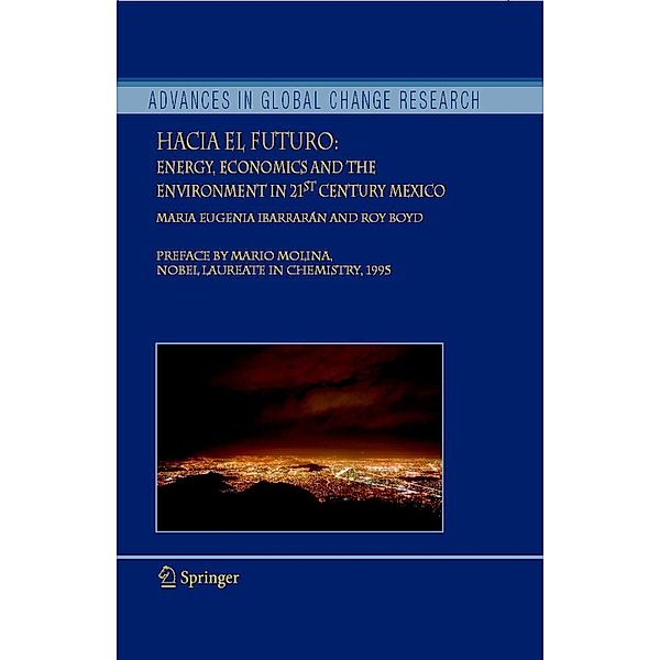 Hacia el Futuro / Advances in Global Change Research Bd.26, Maria Eugenia Ibarrarán, Roy Boyd