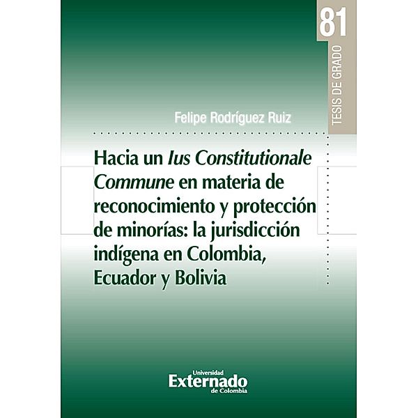 Hacia un lus Constitucionale Commune en materia de reconocimiento y protección de minorías: la jurisdicción indígena en Colombia, Ecuador y Bolivia, Felipe Rodríguez Ruiz