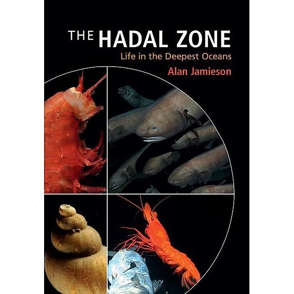Hadal Zone, Alan Jamieson