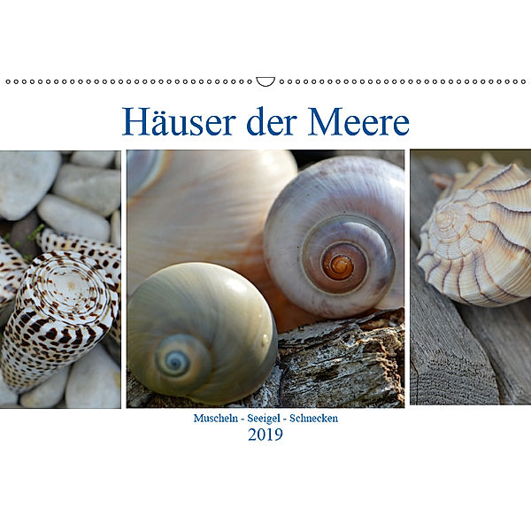 Häuser der Meere: Muscheln - Seeigel - Schnecken (Wandkalender 2019 DIN A2 quer), Renate Grobelny
