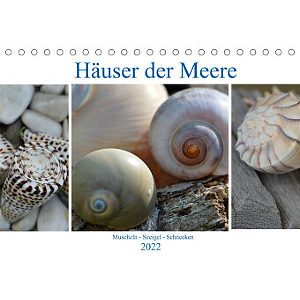 Häuser der Meere:  Muscheln - Seeigel - Schnecken (Tischkalender 2022 DIN A5 quer), Renate Grobelny