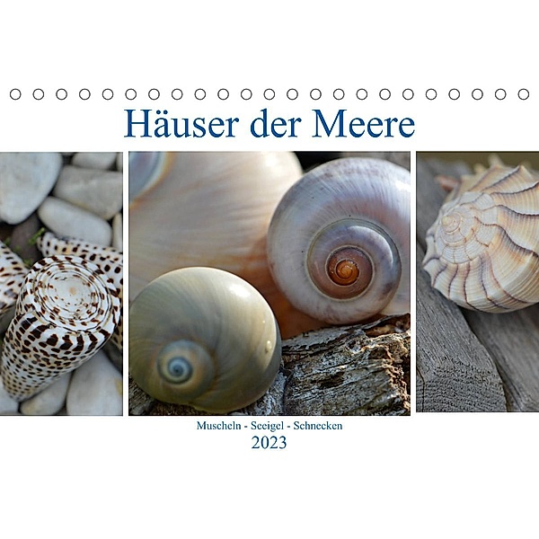 Häuser der Meere:  Muscheln - Seeigel - Schnecken (Tischkalender 2023 DIN A5 quer), Renate Grobelny