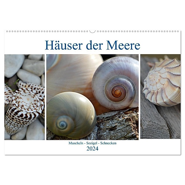 Häuser der Meere: Muscheln - Seeigel - Schnecken (Wandkalender 2024 DIN A2 quer), CALVENDO Monatskalender, Renate Grobelny