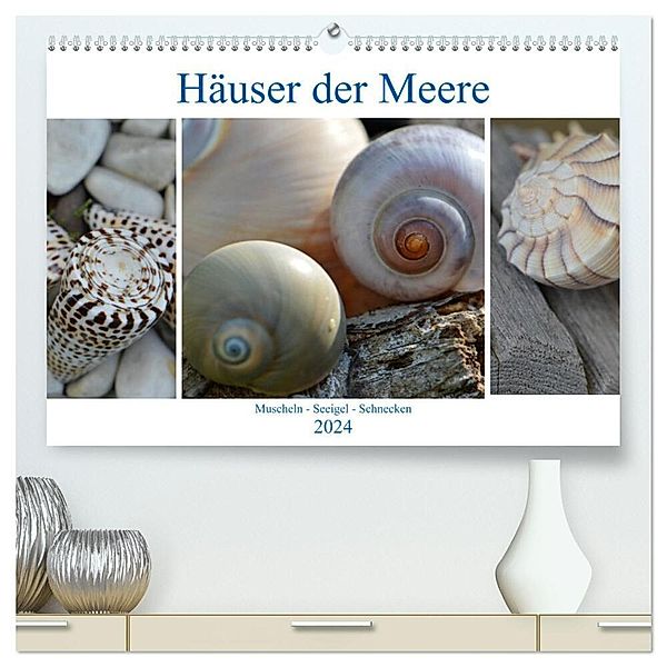 Häuser der Meere: Muscheln - Seeigel - Schnecken (hochwertiger Premium Wandkalender 2024 DIN A2 quer), Kunstdruck in Hochglanz, Renate Grobelny