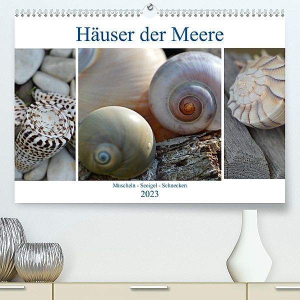 Häuser der Meere:  Muscheln - Seeigel - Schnecken (Premium, hochwertiger DIN A2 Wandkalender 2023, Kunstdruck in Hochgla, Renate Grobelny