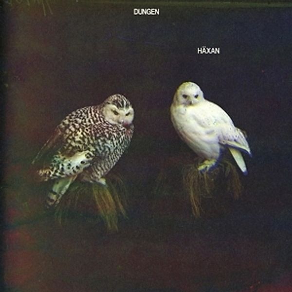 Häxan, Dungen