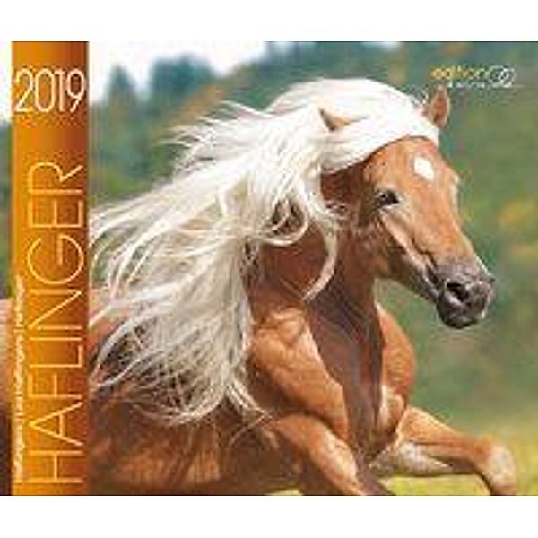 Haflinger 2019, Gabriele Boiselle