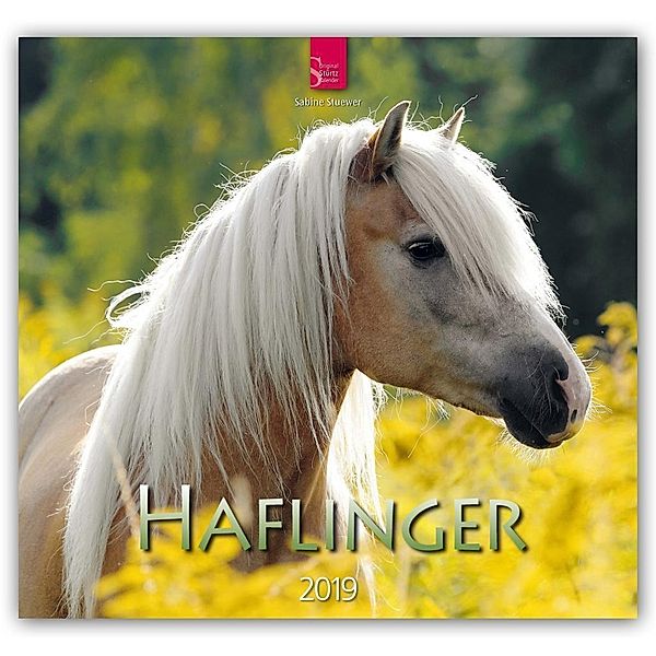 Haflinger 2019 Mittelformat-Kalender