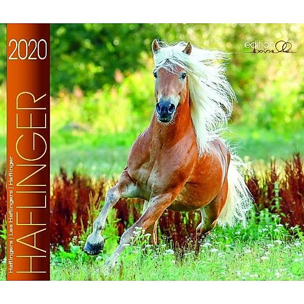 Haflinger 2020, Gabriele Boiselle