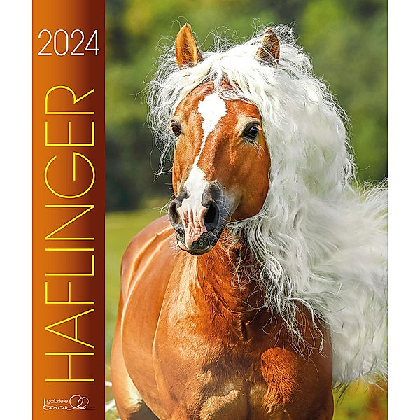 Haflinger 2024, Gabriele Boiselle