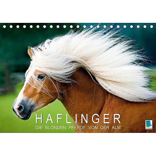 Haflinger: Die blonden Pferde von der Alm (Tischkalender 2021 DIN A5 quer), Calvendo