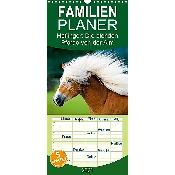 Haflinger: Die blonden Pferde von der Alm - Familienplaner hoch (Wandkalender 2021 , 21 cm x 45 cm, hoch), Calvendo