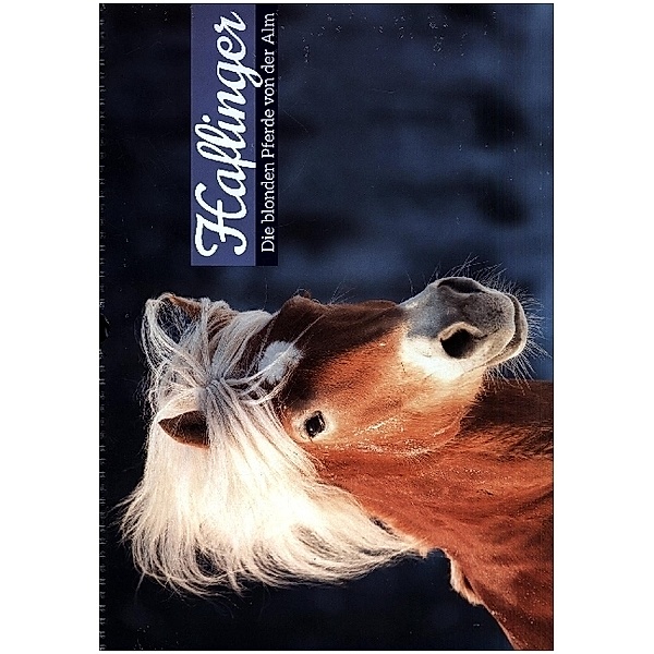 Haflinger: Die blonden Pferde von der Alm (Wandkalender 2023 DIN A3 quer), Calvendo