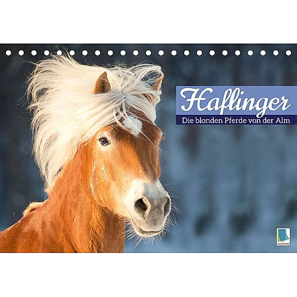 Haflinger: Die blonden Pferde von der Alm (Tischkalender 2023 DIN A5 quer), Calvendo