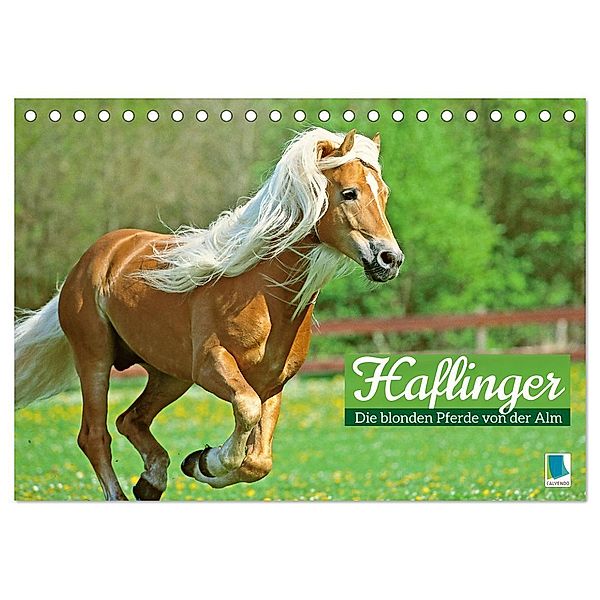 Haflinger: Die blonden Pferde von der Alm (Tischkalender 2024 DIN A5 quer), CALVENDO Monatskalender, Calvendo