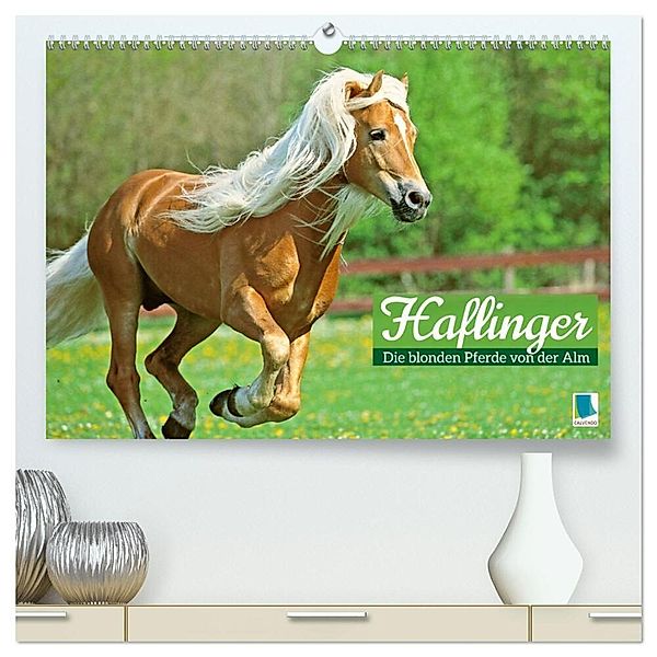 Haflinger: Die blonden Pferde von der Alm (hochwertiger Premium Wandkalender 2024 DIN A2 quer), Kunstdruck in Hochglanz, Calvendo