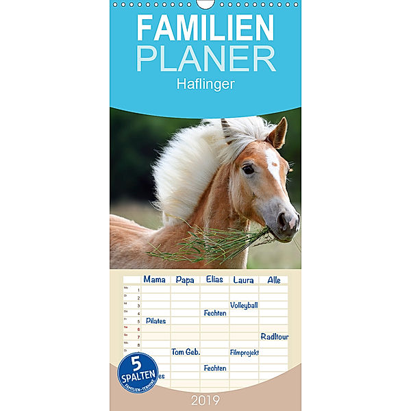 Haflinger - Familienplaner hoch (Wandkalender 2019 , 21 cm x 45 cm, hoch), Nicole Noack